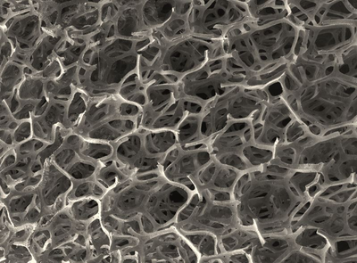 High Adsorption Capacity