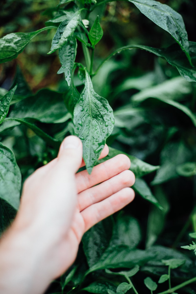 Environmentally Versatile: